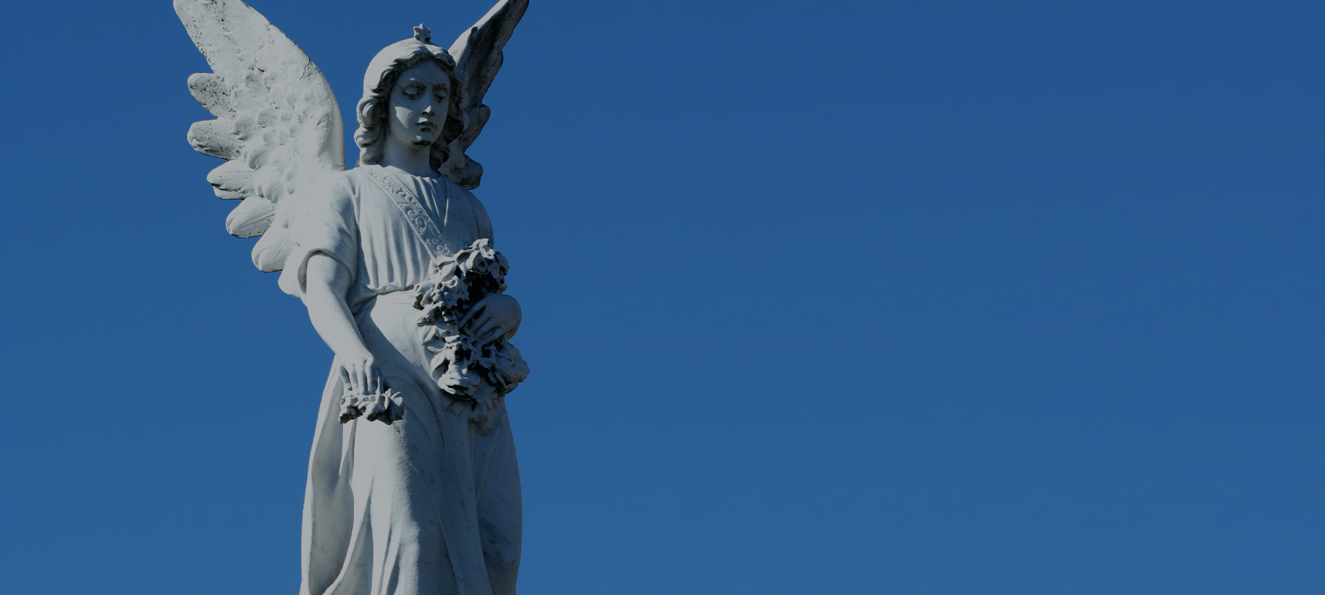 Jiangsu Xinyesheng Heykel Co., Ltd.